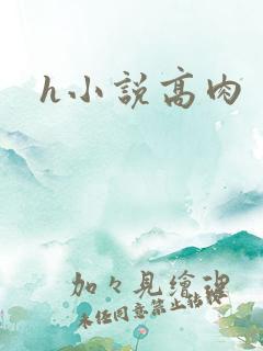 h小说高肉