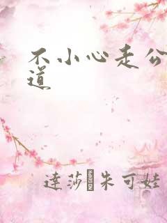 不小心走公交车道