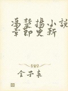 冯楚扬小说最新章节更新