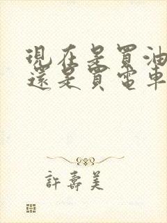现在是买油车好还是买电车好