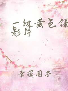 一级黄色录像带影片