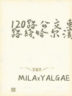 120路公交车路线哈尔滨
