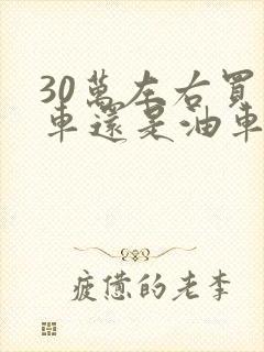 30万左右买电车还是油车 30万左右买电车还是油车