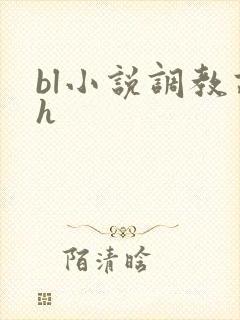 bl小说调教高h