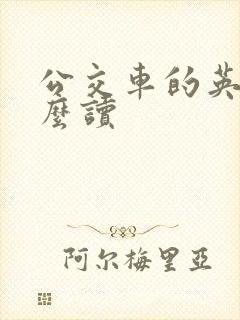 公交车的英文怎么读