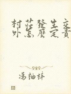 村庄发生交通意外怎么定责
