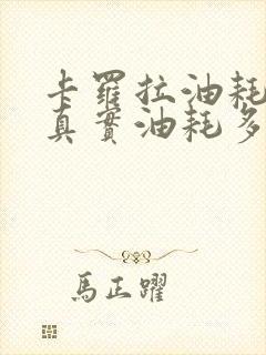 卡罗拉油耗多少真实油耗多少