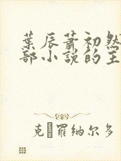 叶辰萧初然是哪部小说的主角 叶辰萧初然是哪部小说的主角