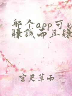哪个app可以赚钱而且赚的快