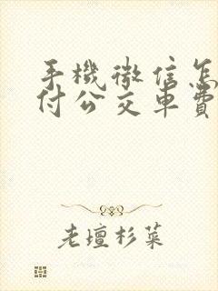 手机微信怎么支付公交车费用