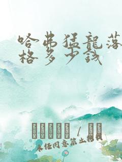 哈弗猛龙落地价格多少钱