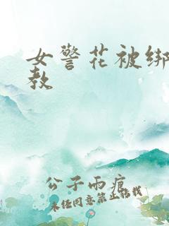 女警花被绑架调教