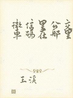 微信里公交车乘车码在哪里