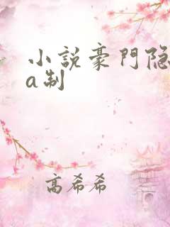 小说豪门隐婚aa制