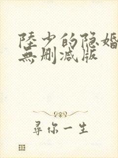 陆少的隐婚罪妻无删减版
