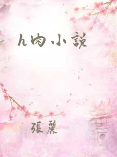 h肉小说