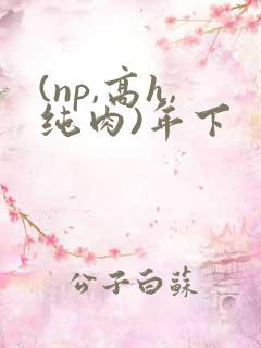 (np,高h,纯肉)年下