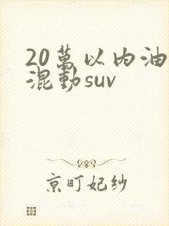 20万以内油电混动suv 20万以内油电混动suv
