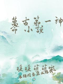 万古第一神李天命 小说