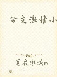 公交激情小说