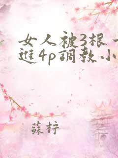 女人被3根一起进4p调教小说