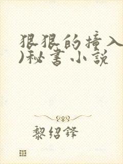 狠狠的撞入(h)秘书小说