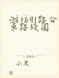 潍坊91路公交车路线图