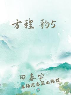 方程 豹5