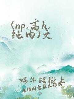 (np,高h,纯肉)文