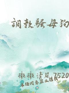 调教骚母狗校花