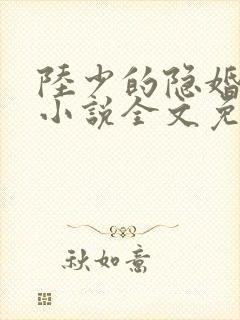 陆少的隐婚罪妻小说全文免费阅读