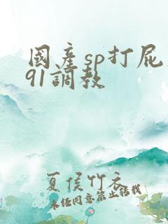 国产sp打屁股91调教