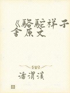 《骆驼祥子》老舍原文