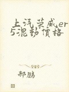 上汽荣威erx5混动价格