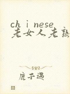 chⅰnese老女人老熟妇hd