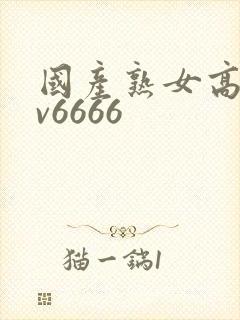国产熟女高潮av6666