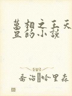 万相之王天蚕土豆的小说