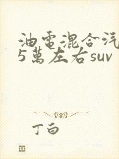 油电混合汽车15万左右suv 油电混合汽车15万左右suv