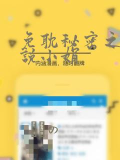 免耽秘密之夜小说小娟