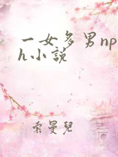一女多男np高h小说
