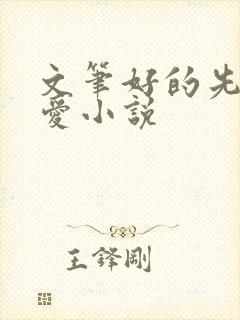 文笔好的先婚后爱小说