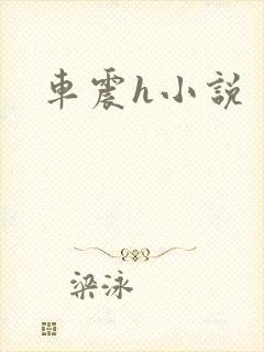 车震h小说