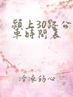 颍上30路公交车时间表