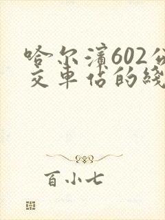 哈尔滨602公交车站的线路