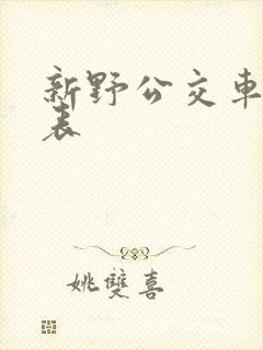 新野公交车时间表