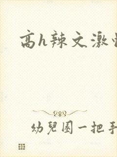 高h辣文激情