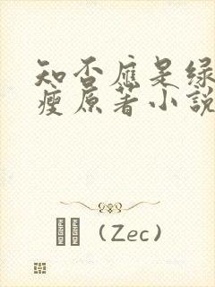 知否应是绿肥红瘦原著小说 知否应是绿肥红瘦原著小说