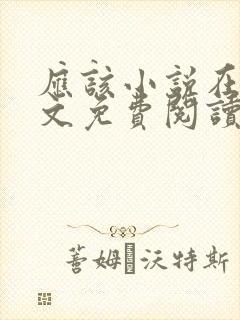 应该小说在线全文免费阅读