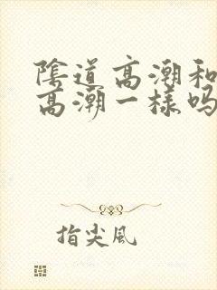 阴道高潮和阴蒂高潮一样吗
