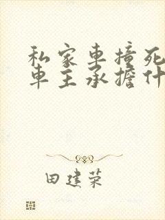 私家车撞死人了车主承担什么责任